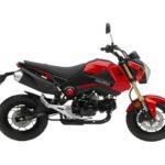 2015 Honda Grom – The Gromance Is Real